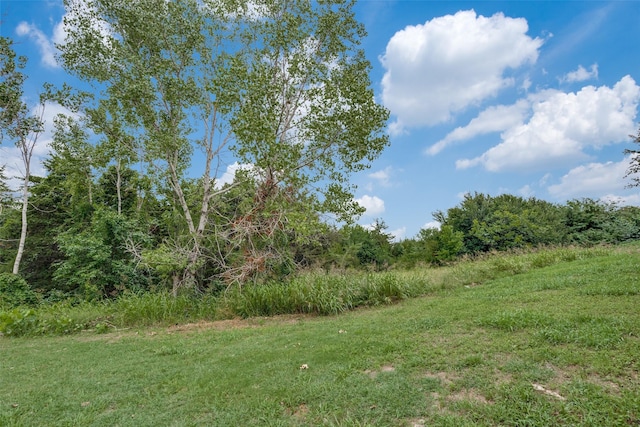 3820 Buchanan St, Mckinney, TX 75071 - view of yard with a forest view