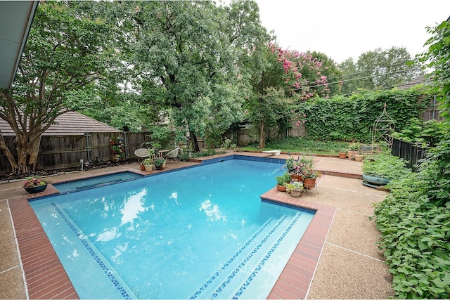 5906 Tiffany Ct, Arlington, TX 76016 - view of pool featuring a fenced backyard and a patio area