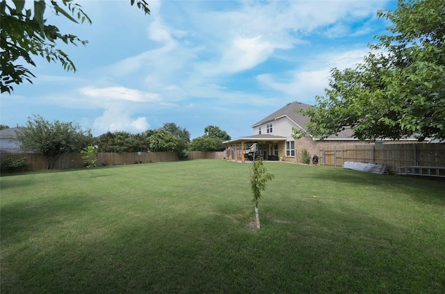 3209 Silver Point Ct, Mansfield, TX 76063 - view of fenced backyard