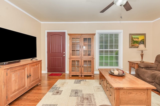 1401 W Shepherd St, Denison, TX 75020 - living room with light wood-style floors, a ceiling fan, and ornamental molding