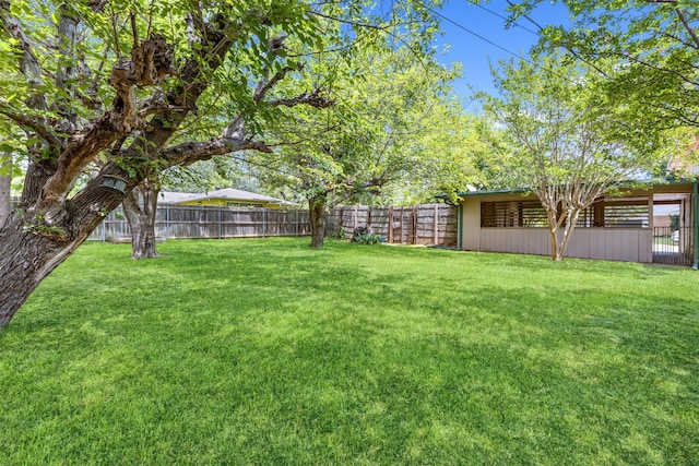 2318 Holsum Cir, Greenville, TX 75401 - view of fenced backyard