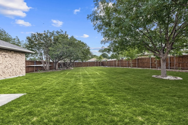 1638 Glencairn Ln, Lewisville, TX 75067 - view of fenced backyard