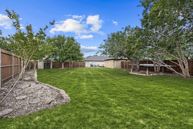 1638 Glencairn Ln, Lewisville, TX 75067 - fenced backyard featuring a storage unit
