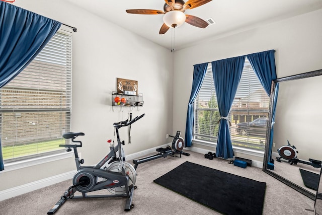 618 Sophia St, Midlothian, TX 76065 - workout room featuring carpet and ceiling fan