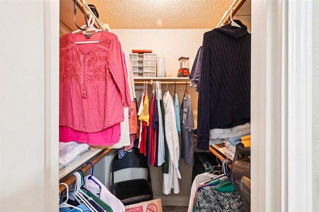406 Anice Ln, Euless, TX 76039 - view of walk in closet