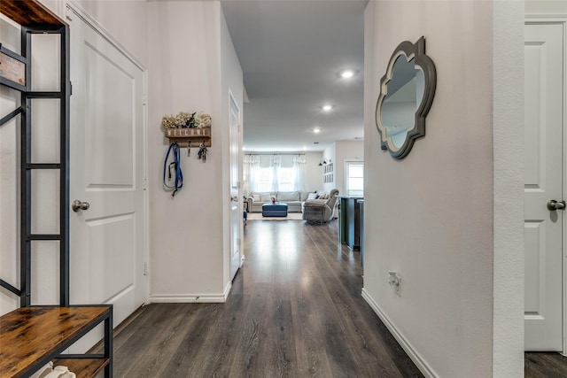 3913 Kylee Ln, Celina, TX 75009 - corridor featuring wood finished floors and recessed lighting