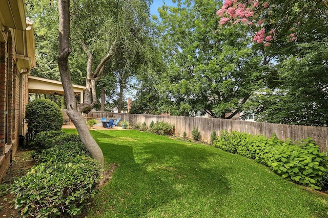 4321 Hazy Meadow Ln, Grapevine, TX 76051 - fenced backyard featuring a patio area