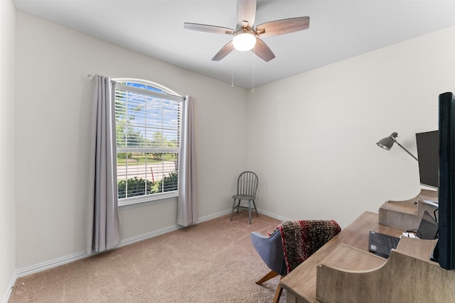 4917 Woodloch Dr, Princeton, TX 75407 - office with healthy amount of natural light, ceiling fan, and carpet floors