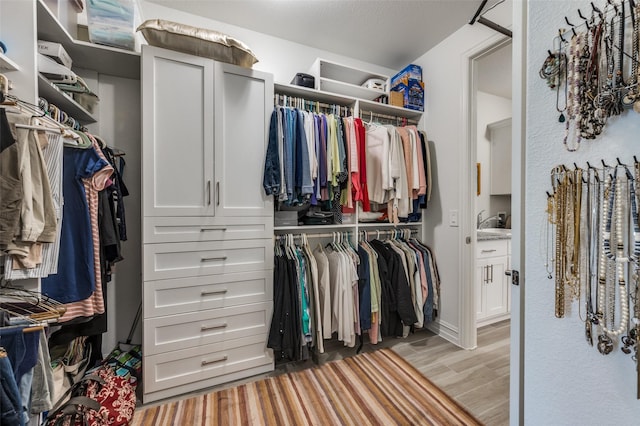 1116 Cornerstone Dr, Little Elm, TX 76227 - walk in closet with light wood-type flooring