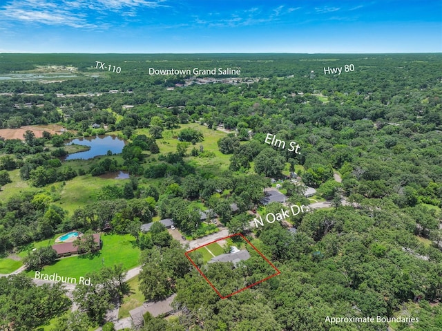 213 N Oaks Dr, Grand Saline, TX 75140 - view of property location with a forest and property boundaries highlighted
