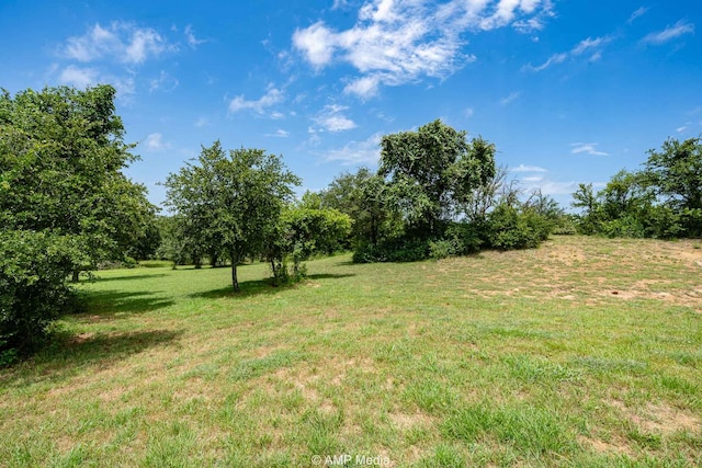 408 Lake Arbor Dr, Weatherford, TX 76088 - view of green lawn