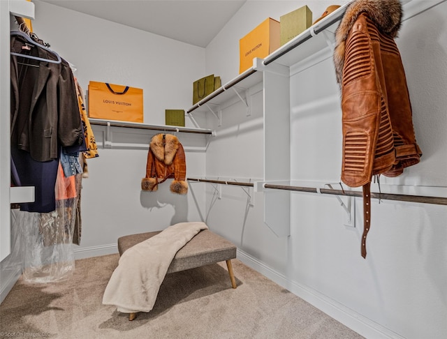 2010 Topaz Dr, Rockwall, TX 75087 - walk in closet featuring carpet