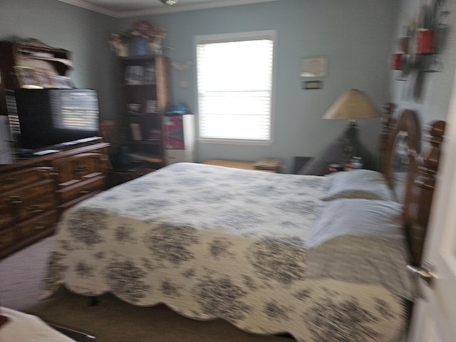 1010 California Trl, Grand Prairie, TX 75052 - bedroom featuring ornamental molding