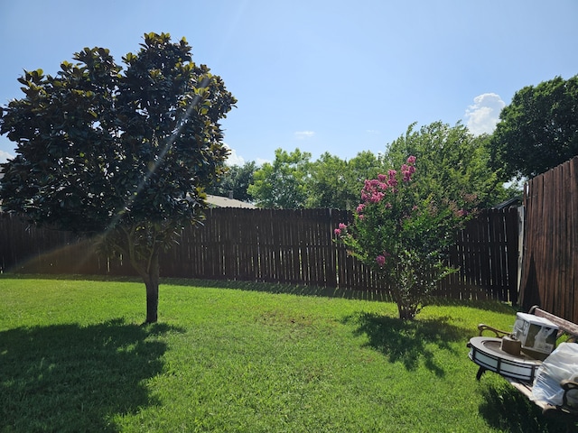 1010 California Trl, Grand Prairie, TX 75052 - view of fenced backyard