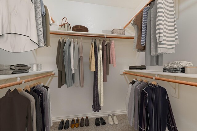 105 Windsor Dr, Forney, TX 75126 - walk in closet with carpet flooring