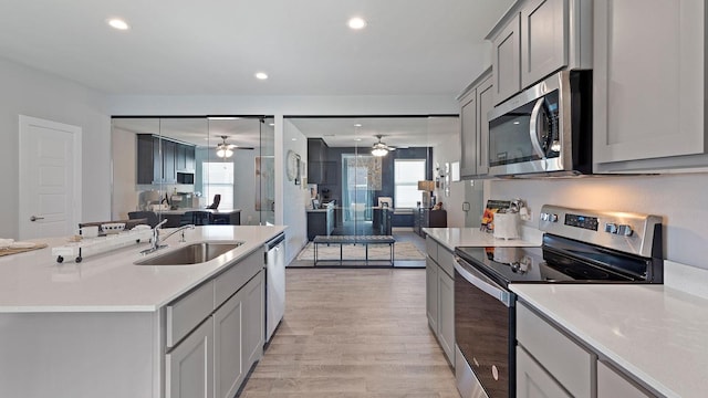 1525 Central Park Dr, Alvarado, TX 76009 - kitchen with stainless steel appliances, ceiling fan, open floor plan, gray cabinetry, and light wood-type flooring