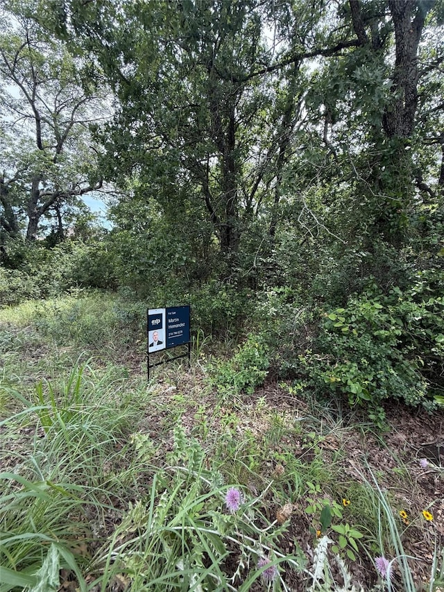 103 Timber Trl Unit 6, Runaway Bay, TX 76426