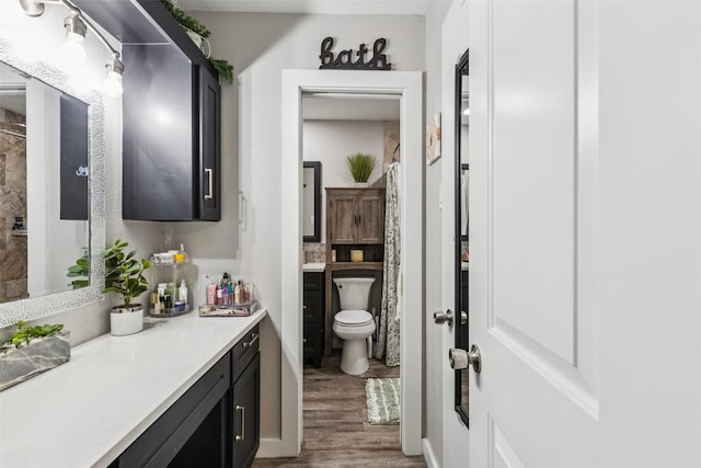 3244 Gail Ct, Irving, TX 75060 - bathroom with wood finished floors, vanity, and curtained shower