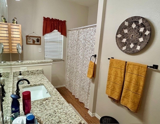 3900 Chimney Rock Dr, Denton, TX 76210 - bathroom featuring wood finished floors, vanity, and a shower with curtain
