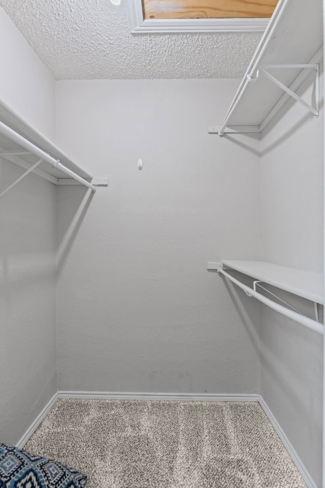 825 W Harwood Rd Unit A, Hurst, TX 76054 - walk in closet with carpet floors