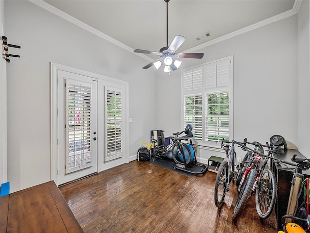 3309 Laurel Fork Dr, Mckinney, TX 75070 - exercise area with wood finished floors, plenty of natural light, ornamental molding, and ceiling fan