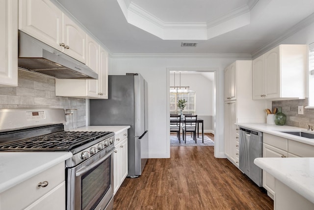4901 Marcus Dr, Flower Mound, TX 75028 - kitchen with stainless steel appliances, under cabinet range hood, a raised ceiling, white cabinetry, and light countertops