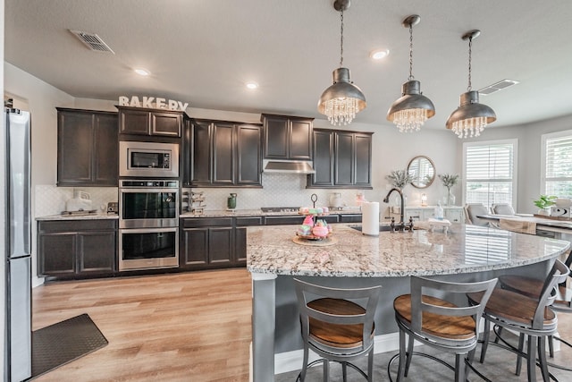 407 Emerson Dr, Rockwall, TX 75087 - kitchen with stainless steel appliances, under cabinet range hood, a kitchen bar, light wood-type flooring, and recessed lighting