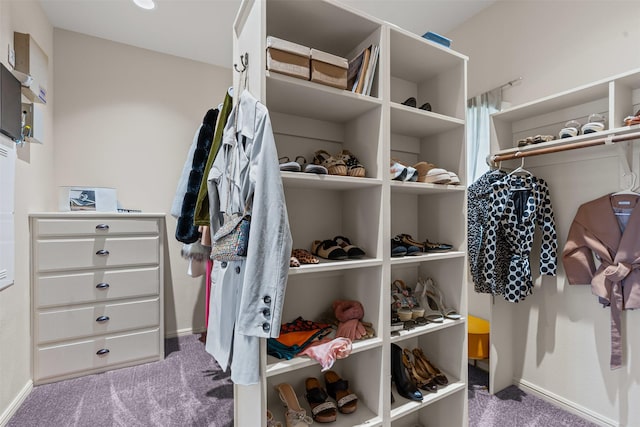 2305 Castle Creek Dr, Mansfield, TX 76063 - spacious closet with carpet