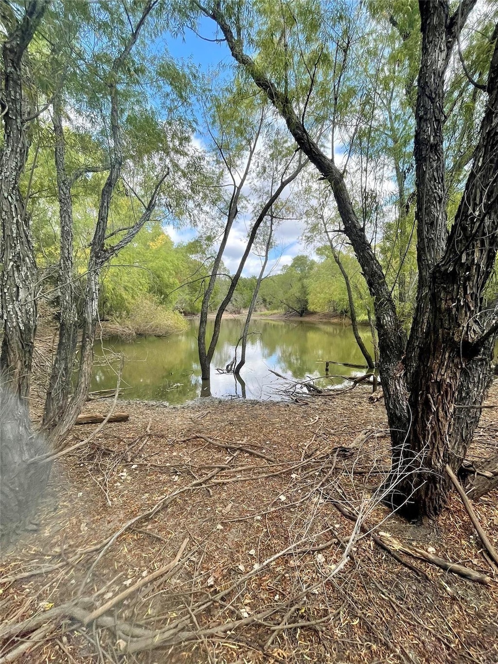 334 Greanead Rd, Forestburg, TX 76239