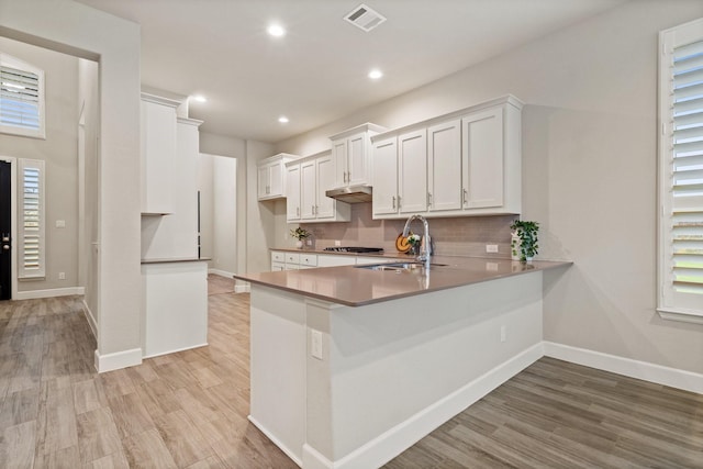 3680 Twin Pines Dr, Grand Prairie, TX 76065 - kitchen featuring under cabinet range hood, light wood-style floors, a peninsula, decorative backsplash, and white cabinets