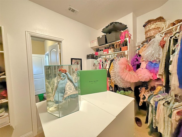 14249 Fall Harvest Dr, Frisco, TX 75033 - view of spacious closet