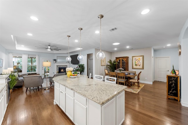 2142 Flagship Ct, Frisco, TX 75036 - kitchen with ceiling fan, dark wood-style floors, open floor plan, a warm lit fireplace, and a kitchen island