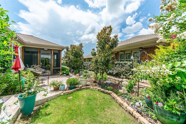2142 Flagship Ct, Frisco, TX 75036 - view of green lawn with a sunroom, ceiling fan, and a patio