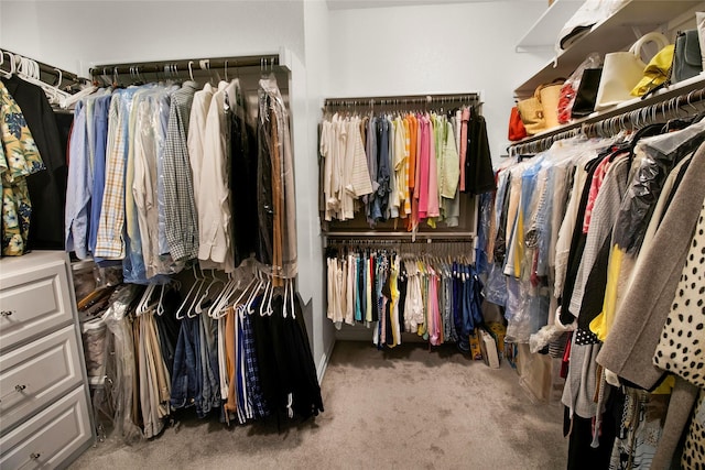 717 Freedom Ln, Aubrey, TX 76227 - walk in closet with carpet floors