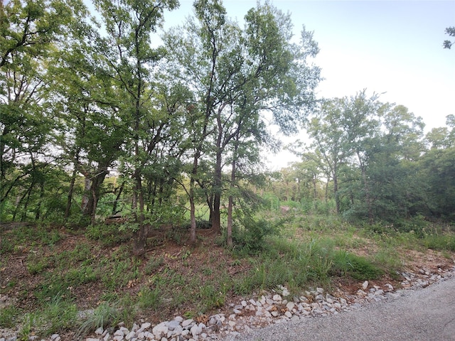 491 County Road 1770, Chico, TX 76431