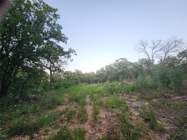 491 County Road 1770, Chico, TX 76431