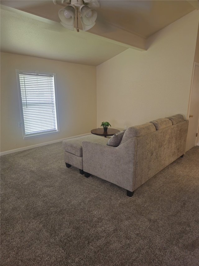 91 Heather Ln, Pottsboro, TX 75076 - carpeted living area featuring a ceiling fan