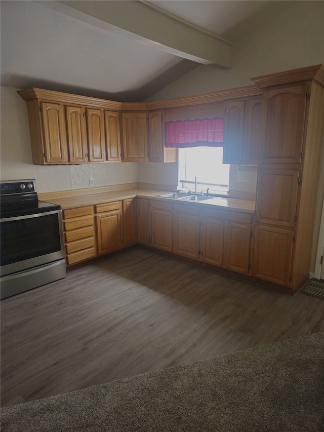 91 Heather Ln, Pottsboro, TX 75076 - kitchen with stainless steel electric stove, dark wood-style flooring, light countertops, and brown cabinets