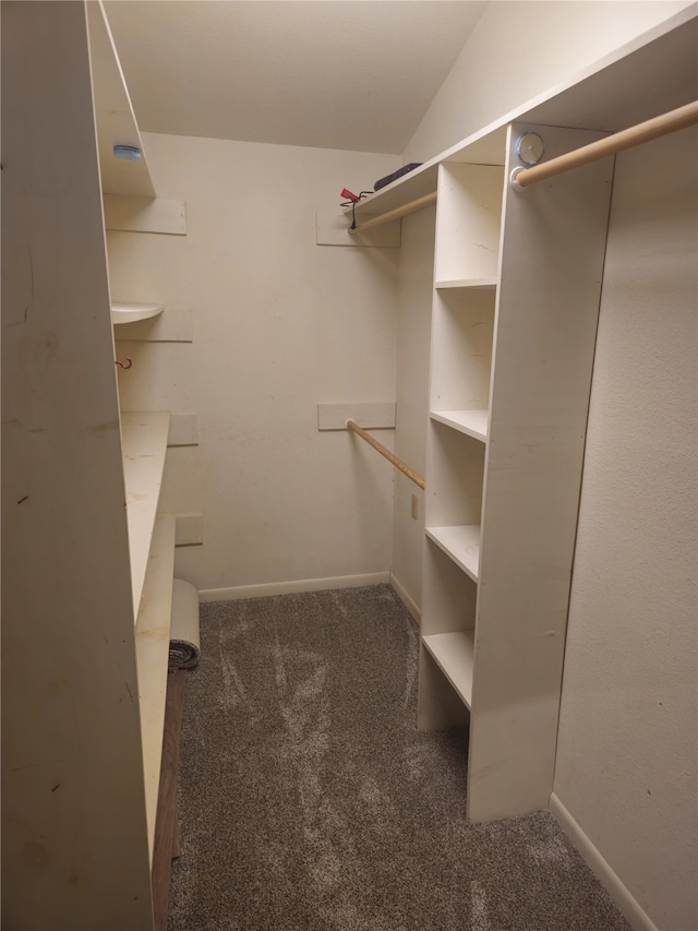 91 Heather Ln, Pottsboro, TX 75076 - spacious closet featuring carpet flooring