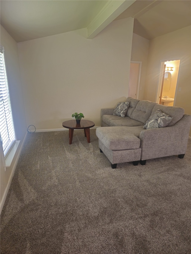 91 Heather Ln, Pottsboro, TX 75076 - carpeted living area featuring baseboards and lofted ceiling