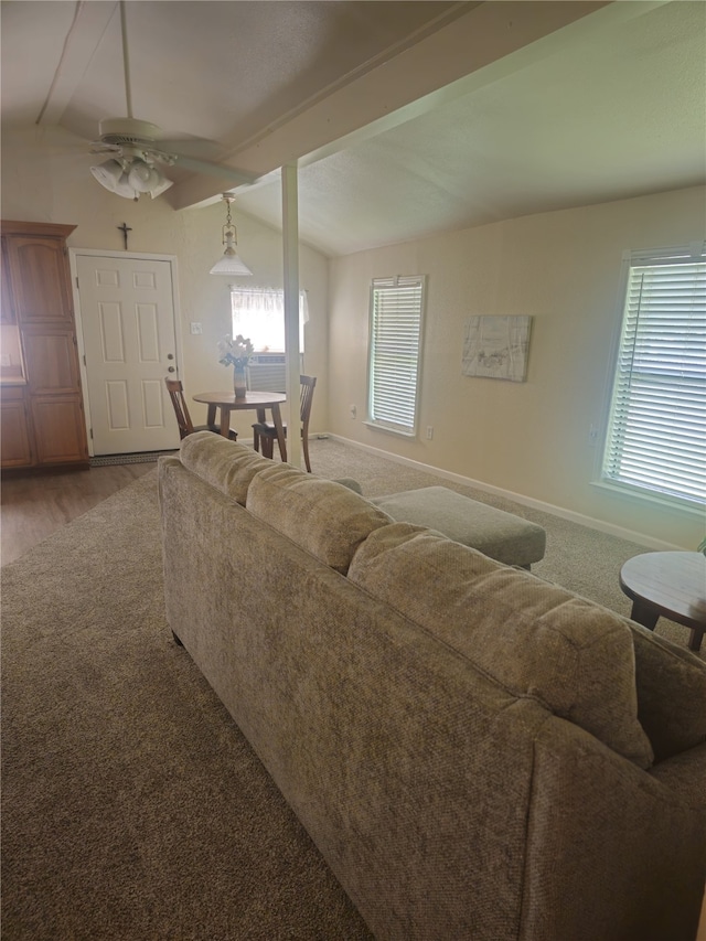 91 Heather Ln, Pottsboro, TX 75076 - living area with a ceiling fan, healthy amount of natural light, and wood finished floors
