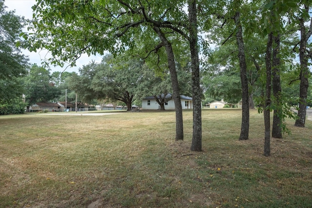 1007 Monte Carlo Dr, Grand Saline, TX 75140 - view of grassy yard