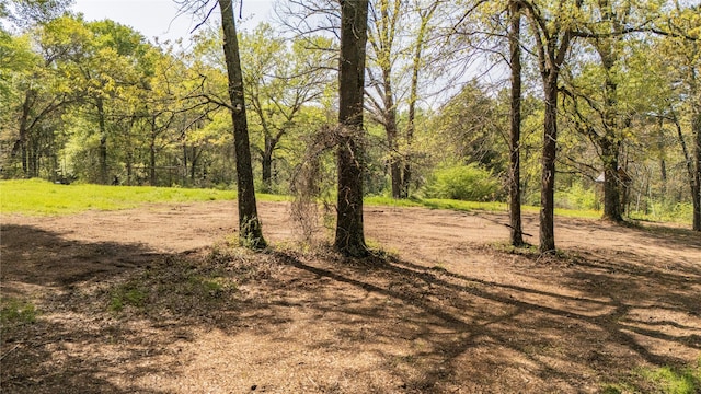 11814 Fm 3226, Arp, TX 75750