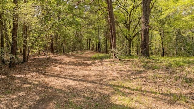 11814 Fm 3226, Arp, TX 75750