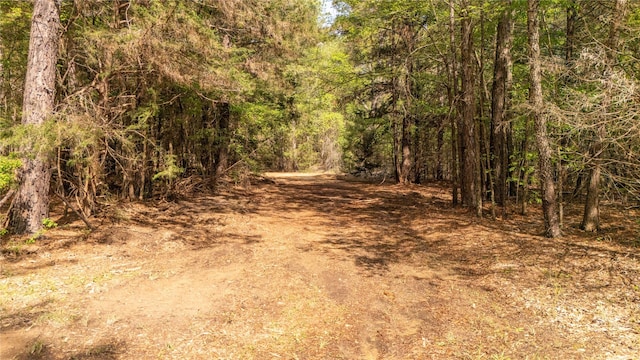 11814 Fm 3226, Arp, TX 75750