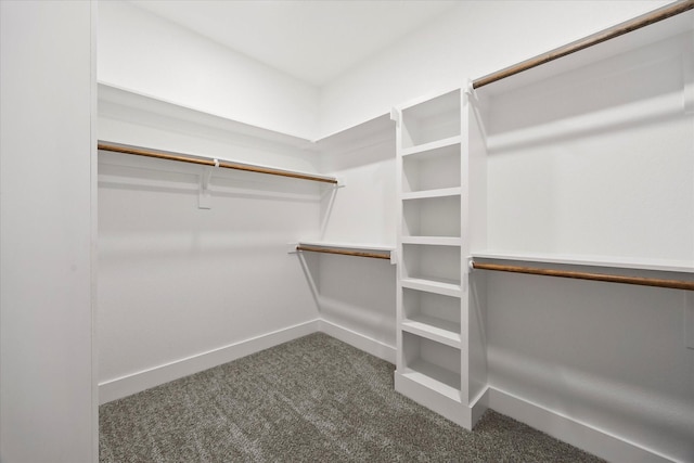 5150 Fox Trot Ln, Caddo Mills, TX 75135 - spacious closet with carpet floors