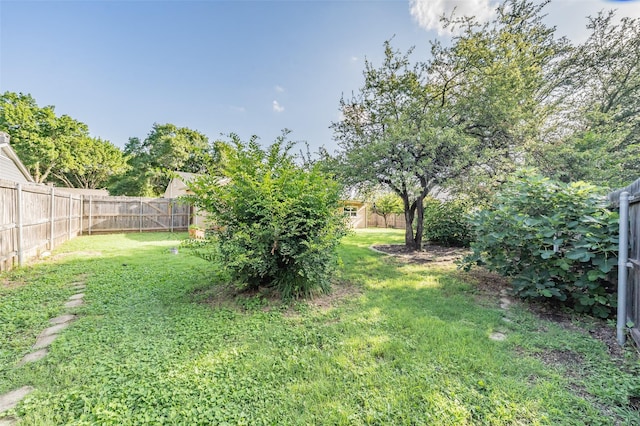 5105 French Wood Dr, Arlington, TX 76016 - view of fenced backyard