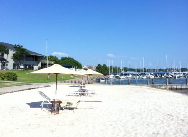 114 Mischief Ln, Rockwall, TX 75032 - surrounding community with a water view