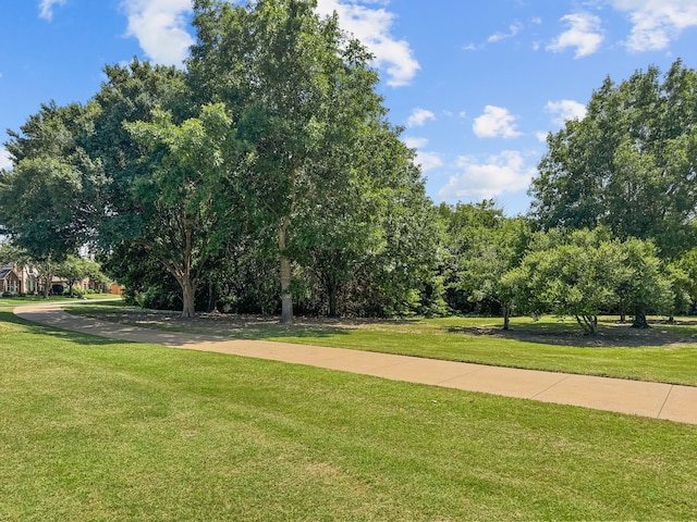 1597 Sweetbriar Dr, Allen, TX 75002 - view of property's community with a lawn and view of scattered trees