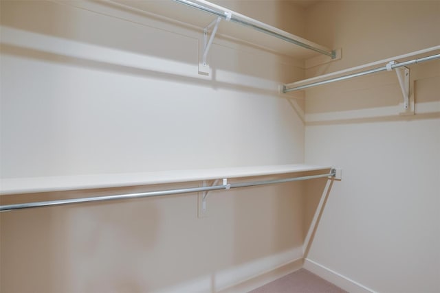 2600 W 7th St Unit 2452, Fort Worth, TX 76107 - walk in closet with carpet flooring